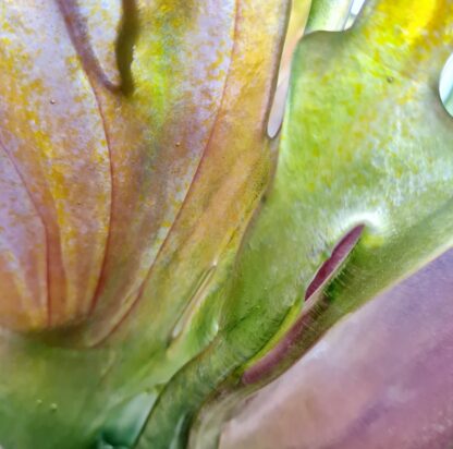Illumination | Handcrafted Glass Sculpture Inspired by Australian Flora - Image 2